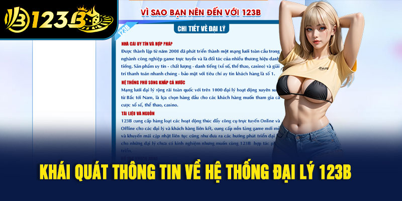 Khái quát thông tin về hệ thống đại lý 123B