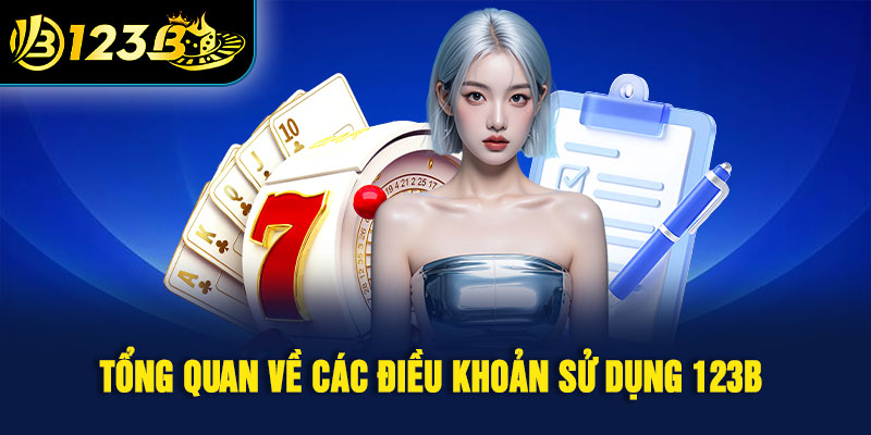 Tổng quan về các điều khoản sử dụng 123B